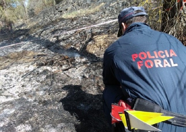 La Policía Foral de Navarra identifica al presunto autor de un incendio en Falces