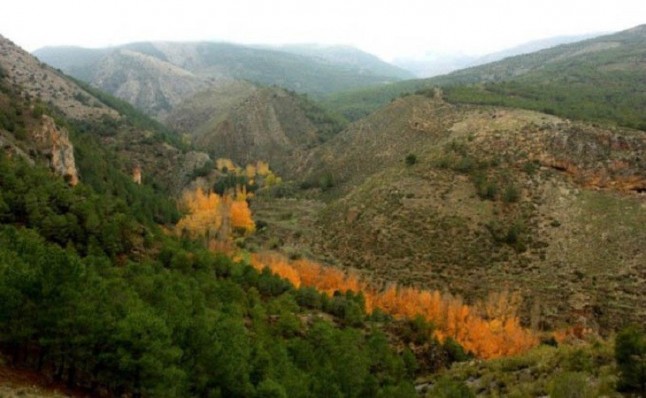 Medio Ambiente elabora un nuevo modelo de gestión del uso público en los espacios naturales andaluces