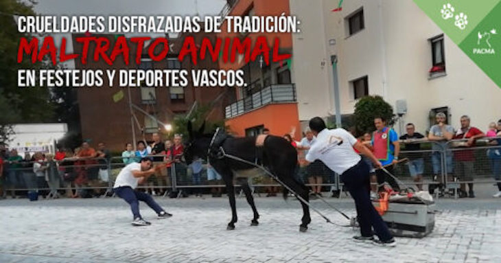 Euskadi: maltrato animal apoyado por las instituciones vascas