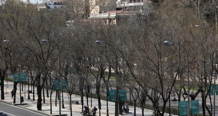 Madrid constituye la ‘Mesa del Árbol’