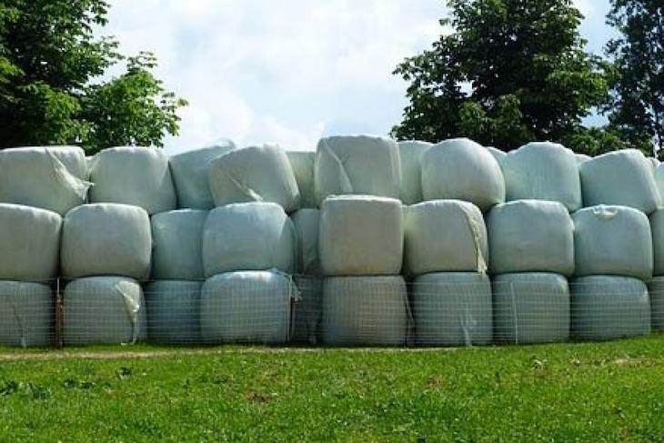 El proyecto AP Waste valorizará 5 tipos de plásticos agrarios a través de insectos y microorganismos