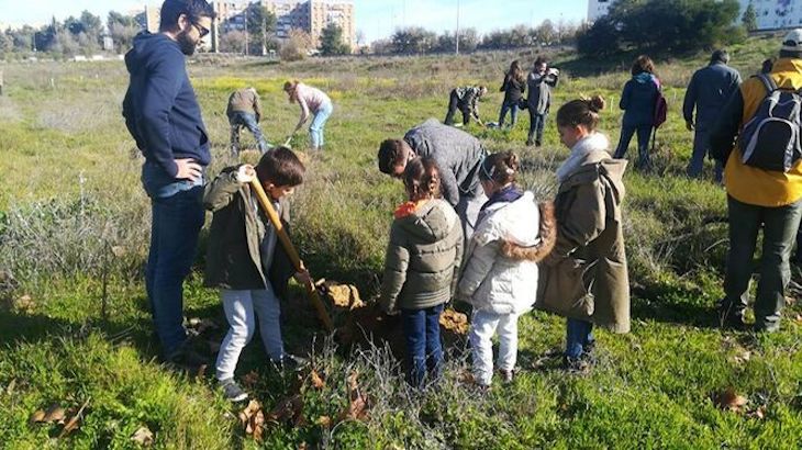 El Ayuntamiento de Sevilla planta 1.800 alcornoques