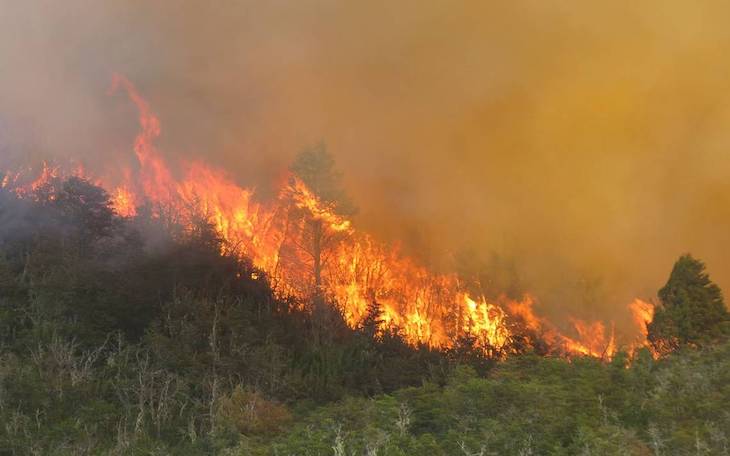 Fulminadas  por el fuego 65.000 hectáreas en lo que va del año 2020 hasta el 31 de octubre