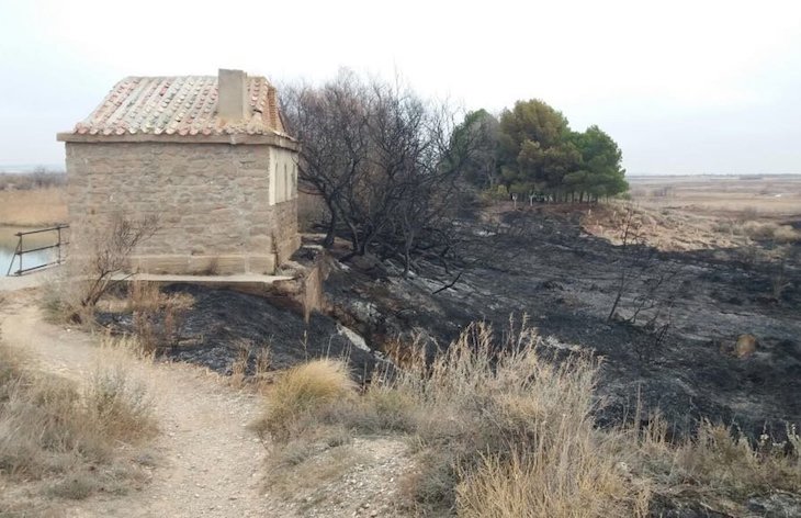 Guarderío de Medio Ambiente y Policía Foral esclarecen incendios en la balsa de El Pulguer
