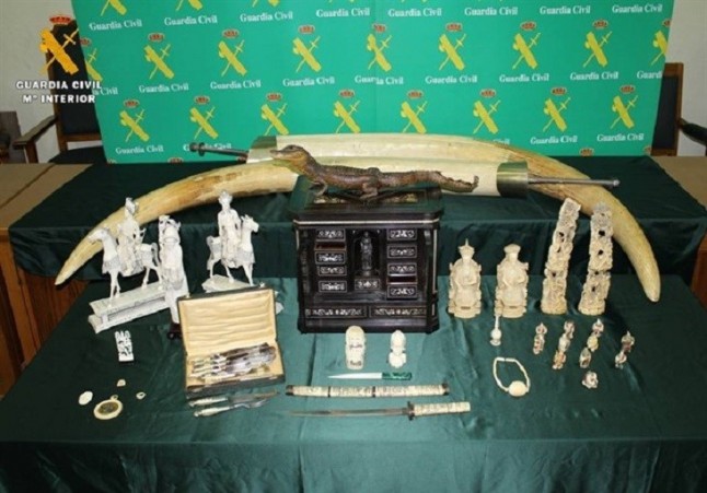 TODO sobre el I Zoohackaton España