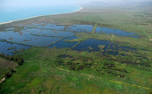 La Fundación Global Nature