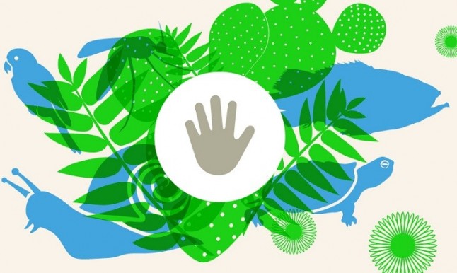 Catalunya la propagación de las especies exóticas invasoras