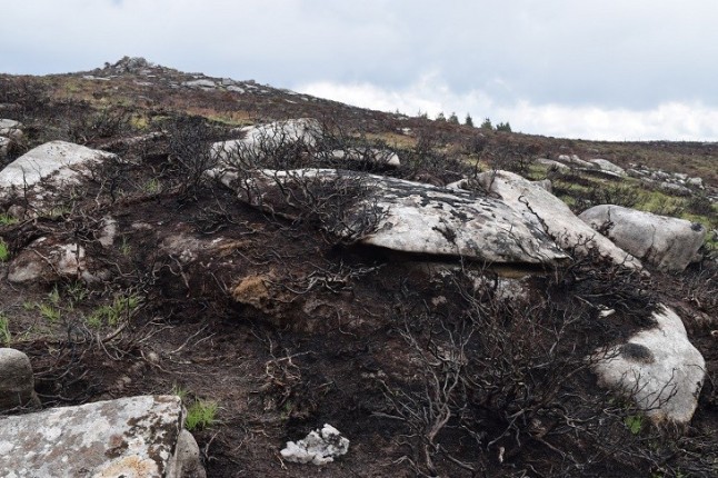 Denuncian a la Xunta por posibles daños a un petroglifo en O Xistral (Lugo) tras una quema controlada de vegetación