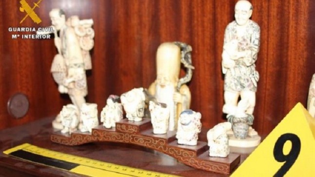 El Seprona investiga a 104 personas por tenencia y trafico ilegal de flora y fauna