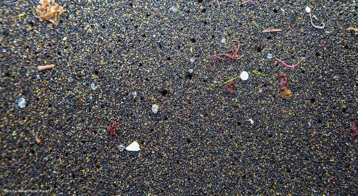 Buscando soluciones para los microplásticos que acaban en las aguas residuales