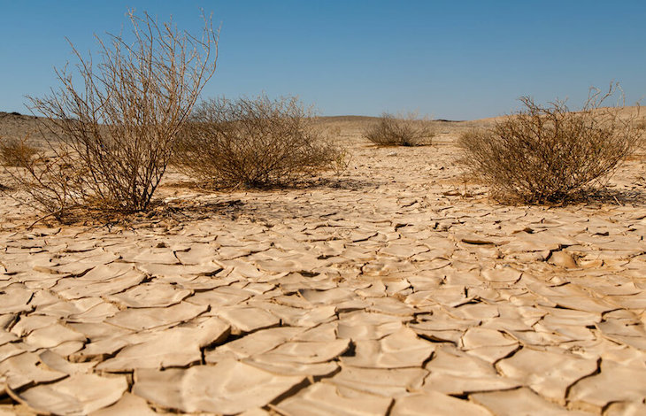 Las pandemias serán peores en el futuro si no hay un cambio en las actividades humanas