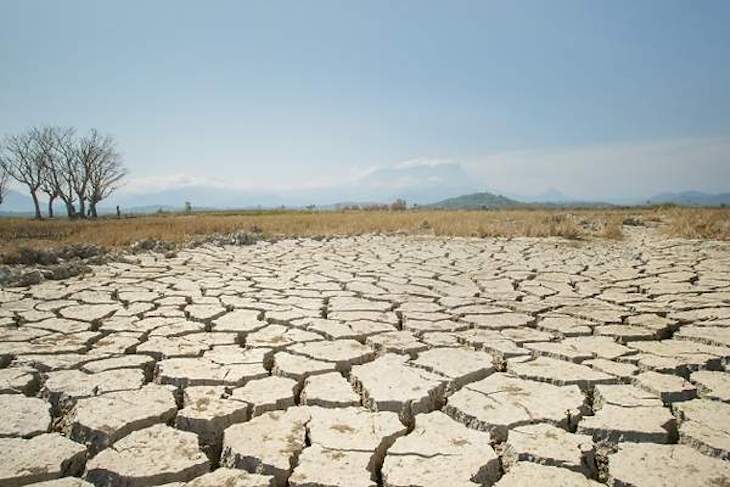 El calentamiento global traerá aún más lluvia a regiones monzónicas