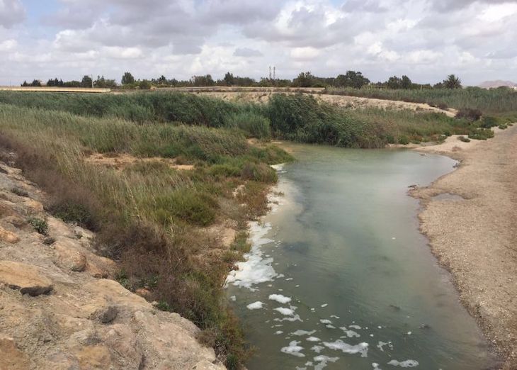 Salamanca busca inquilinos para dos nuevos humedales artificiales