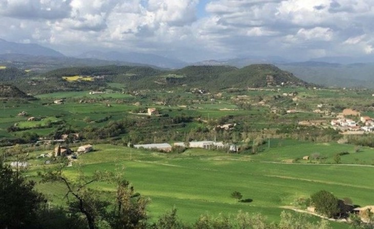 Planificar una infraestructura verde que conecte los espacios naturales a gran escala es lo ‘sensato’