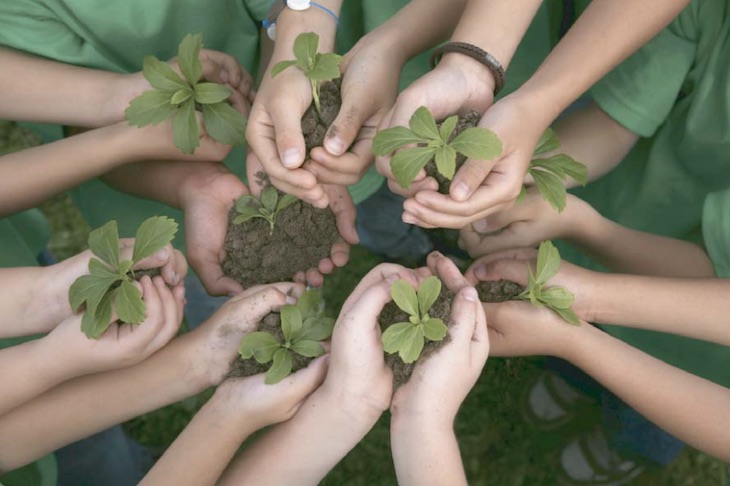México. La poesía ayuda a apreciar la naturaleza con nuevos ojos y descubrir el sentido de la vida