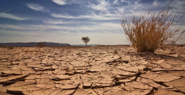 La red vasca de municipios sostenible destina fondos a proyectos municipales innovadores en cambio climático o biodiversidad