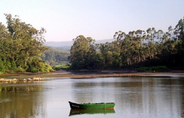 Cantabria. Oyambre tendrá Plan de Uso y Gestión y de Desarrollo Sostenible