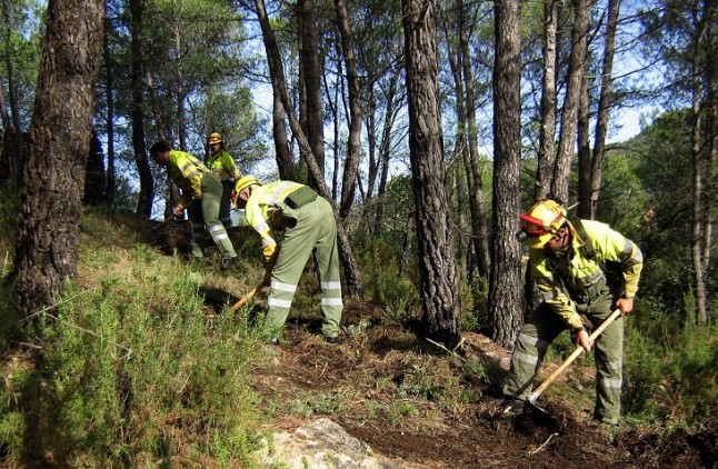 Castilla – La Mancha realiza trabajos preventivos contra el fuego forestal