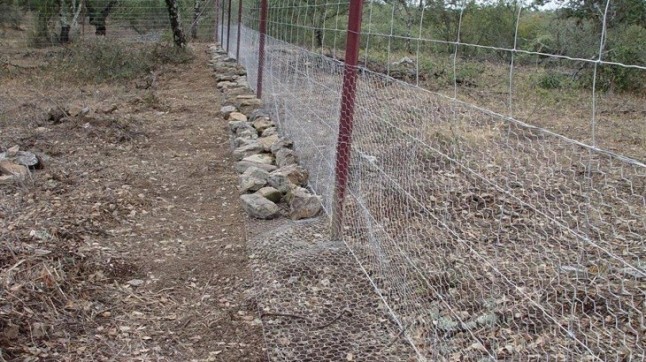 Castilla – La Mancha subvencionará las mallas conejeras para los agricultores