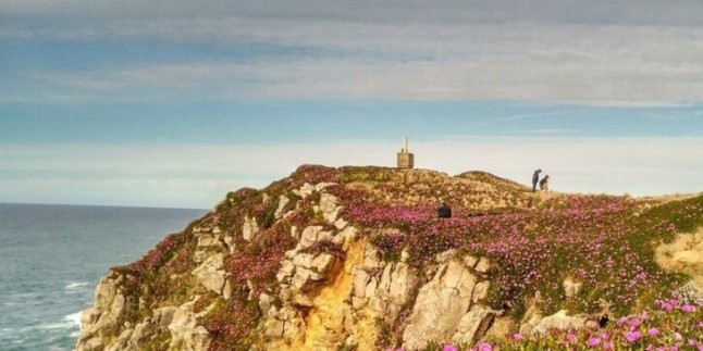 Ecologistas alertan de que Suances se convierte en zona 0 de la uña de gato en Cantabria
