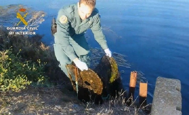 En Huelva delincuentes capturan 50 kilos de anguilas con artes de pesca prohibidas