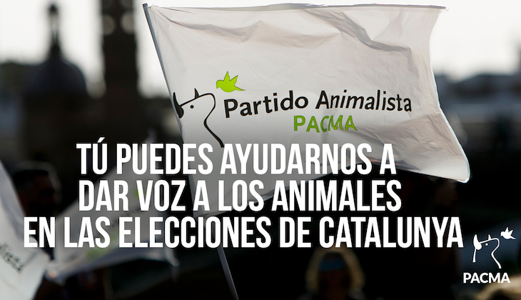 PACMA quiere recoger avales para dar voz a los animales en las elecciones de Catalunya