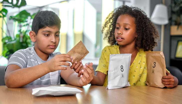 El Grupo LEGO se  suma a la sostenibilidad