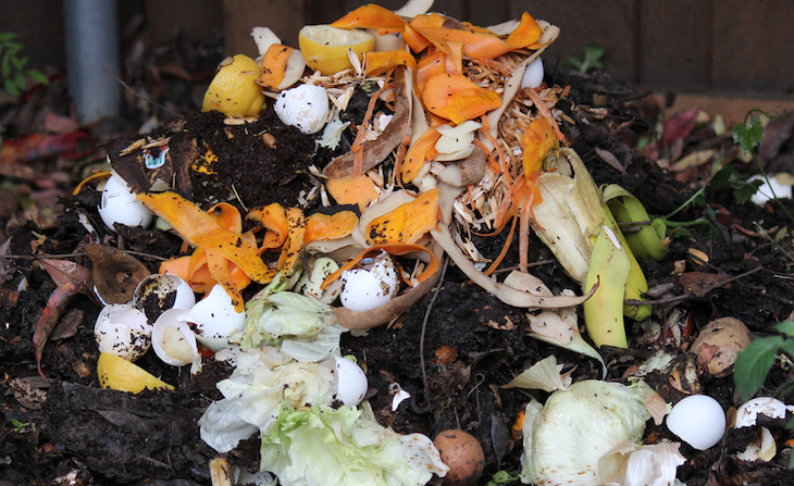 Coristanco extiende el compostaje doméstico a otro centenar de familias gallegas