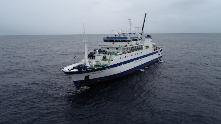 Valorando el ecosistema pelágico en el Golfo de Cádiz