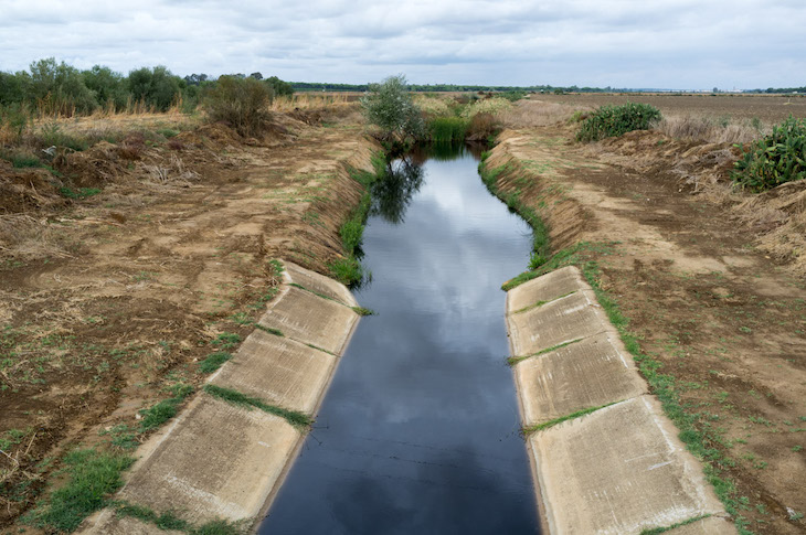 El ‘Programa Doñana 2005’ sin ejecutar y descafeinado