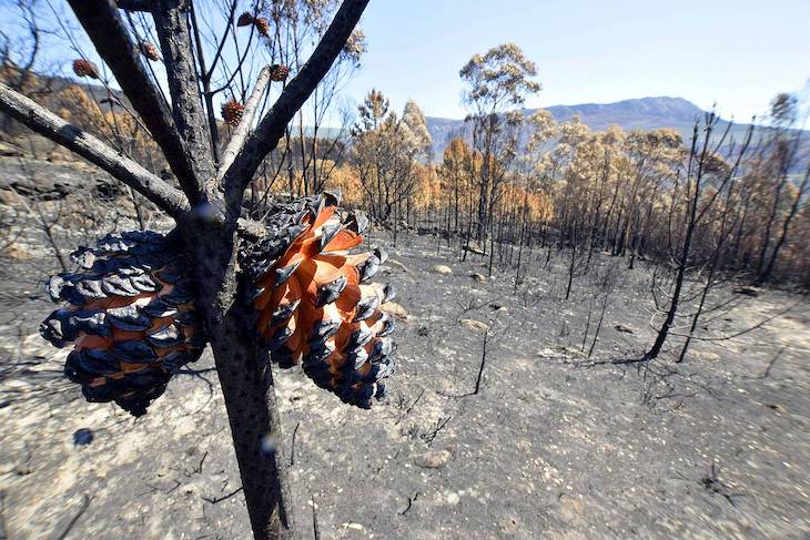 Incendios en ‘Galicia’