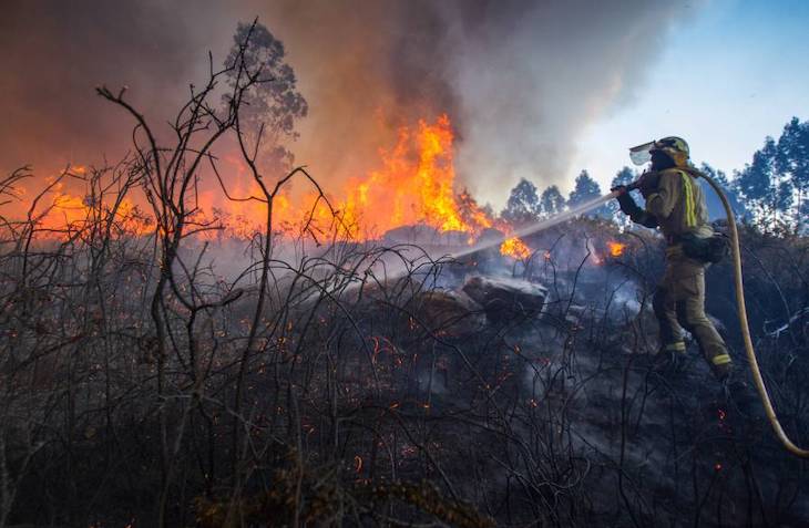 WWF exige medida ante el "grave problema" de Galicia con los incendios y advierte: "Los montes no arden solos"