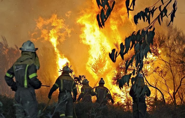 El Gobierno despliega medios aéreos y terrestres para combatir el incendio de Cualedro (Ourense)