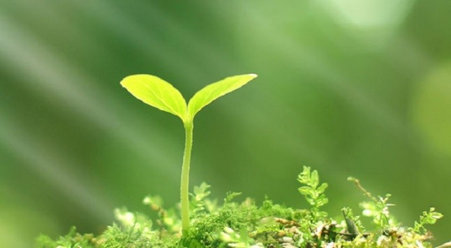 Amigos de la tierra pide justicia medioambiental al nuevo Gobierno