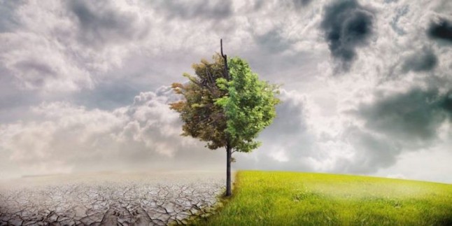 Las redes sociales y el cambio climático