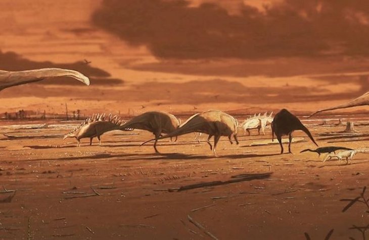 Los estegosaurios también habitaron Escocia