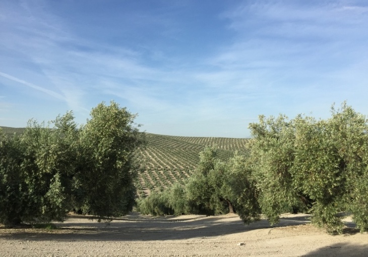 Escándalo mayúsculo