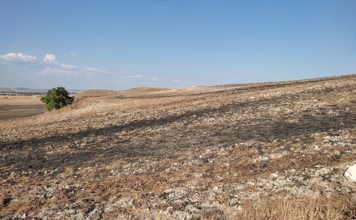 Una estafa de 15 años vertiendo ilegalmente lodos de aguas residuales en ‘Pinto’