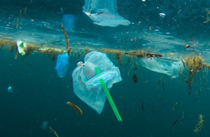 La ‘plaga’ de las basuras marinas