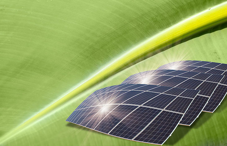 Energía solar convertida en combustible de hidrógeno con fotosíntesis