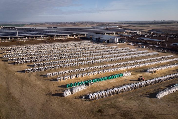 Las macrogranjas se ‘cargan’ el medio ambiente