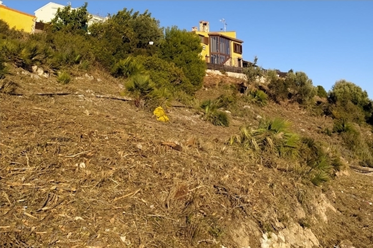 Vinaròs. Silvicultura agresiva en el Puig de la Misericordia