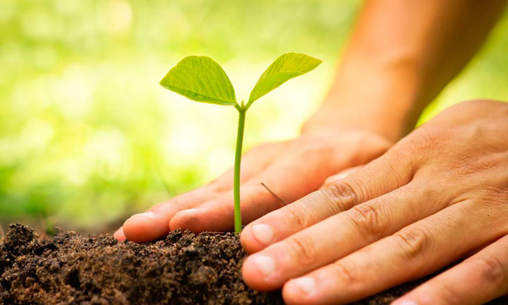 La Academia de Cine se suma a la defensa del medio ambiente creando un ‘sello verde’