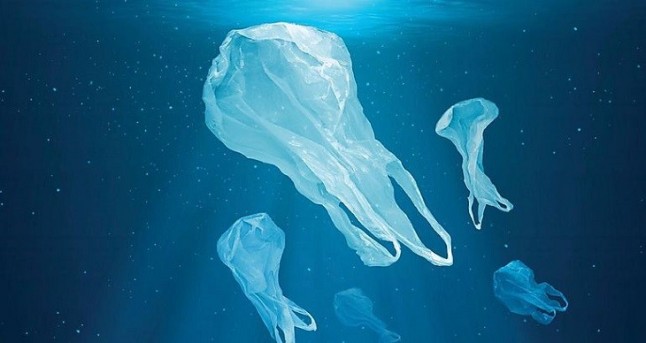 Uno menos en el mar recoge más de 7.000 cepillos de dientes de plástico para luchar contra la contaminación marina