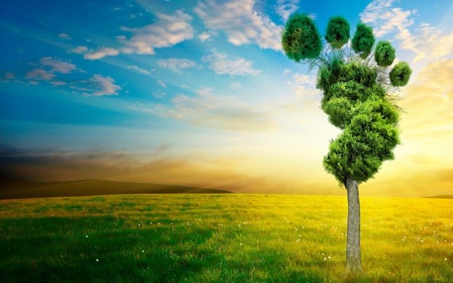 Por un papel proactivo de la ciudadanía para reducir la huella de carbono