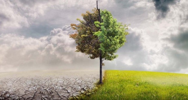 Aniacam agradece al Gobierno la reunión para aclarar la confusión sobre la Ley de Cambio Climático