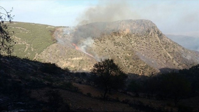 STOP a las quemas en Almería a partir del 15 de mayo