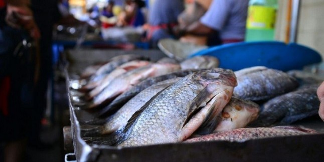 Comer pescado y marisco es ‘vital’ contra el cambio climático