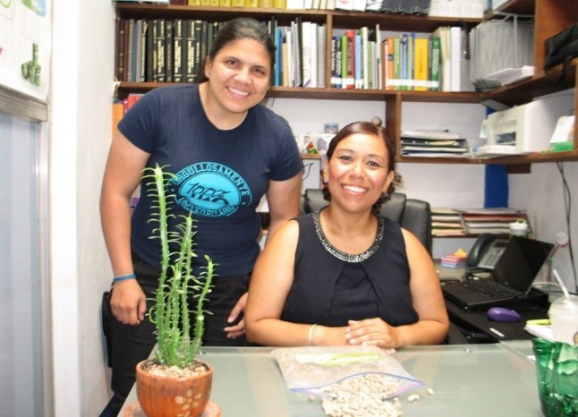 Bioabono a base de desechos de jitomate y chile