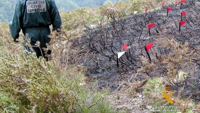 La Guardia Civil investiga a un hombre por dos incendios en Liérganes